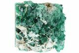 3.4" Fluorescent Green Fluorite Crystal Cluster - Rogerley Mine - #184629-1